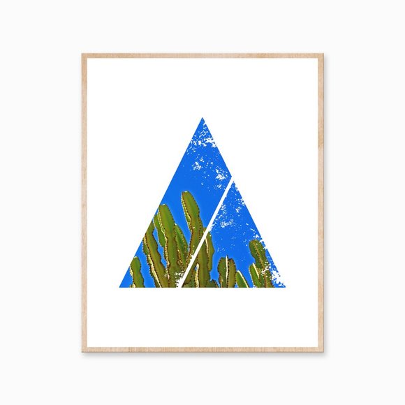 Unframed 12x16 minimalist succulent art print - Picture 1 of 4